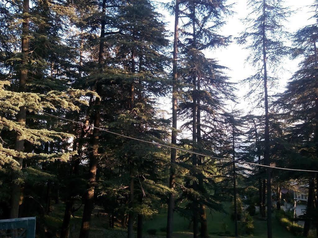 Torrentium alojamiento Shimla Exterior foto